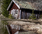 [ © Kenneth Friberg] 